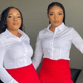 Classic Fitted Stretch Blouse