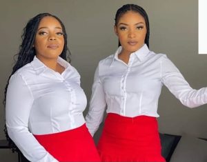 Classic Fitted Stretch Blouse