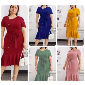 Elegant Bodycon Ruffle Hem Dress